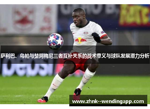 萨利巴、乌帕与楚阿梅尼三者互补关系的战术意义与球队发展潜力分析 萨利巴、乌帕与楚阿梅尼三者互补关系的战术意义与球队发展潜力分析