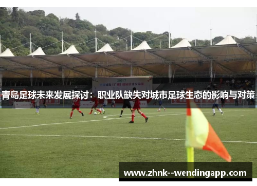 青岛足球未来发展探讨：职业队缺失对城市足球生态的影响与对策